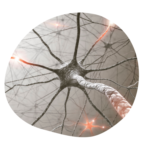 Nervensystem