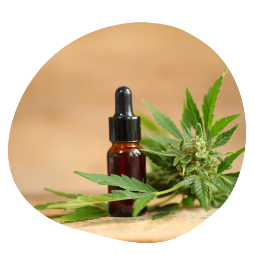 CBD Öl