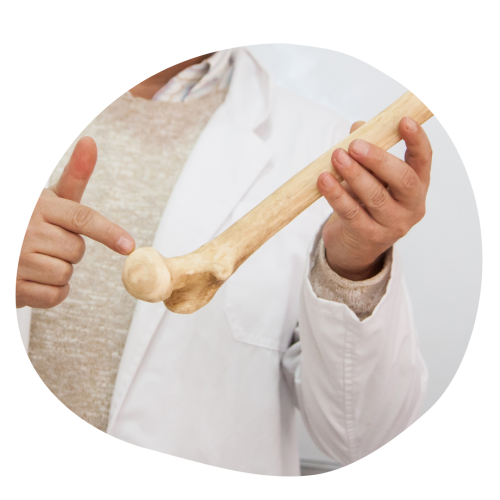 Osteoporose Knochengesundheit