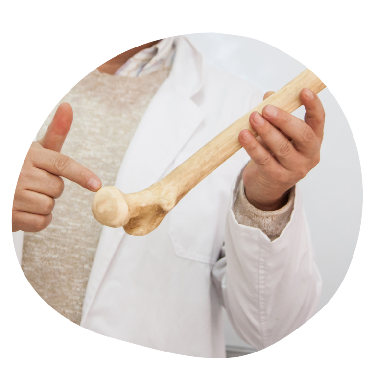 Osteoporose Knochengesundheit