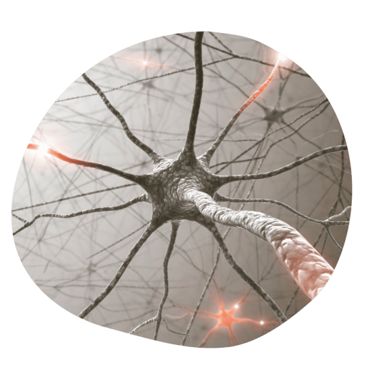 Nervensystem