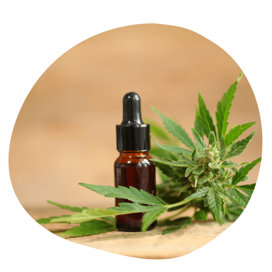 CBD Öl