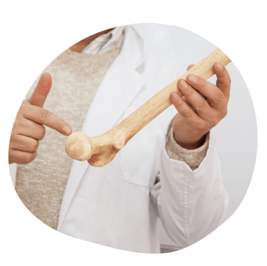 Osteoporose Knochengesundheit