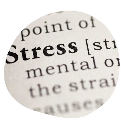 Cortisol Stress